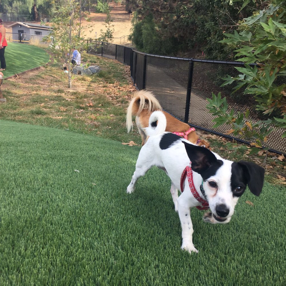 Olive Hills Park - Dog Parks Near Me - Anaheim, California Olive Hills Park - Dog Parks Near Me - Anaheim, California