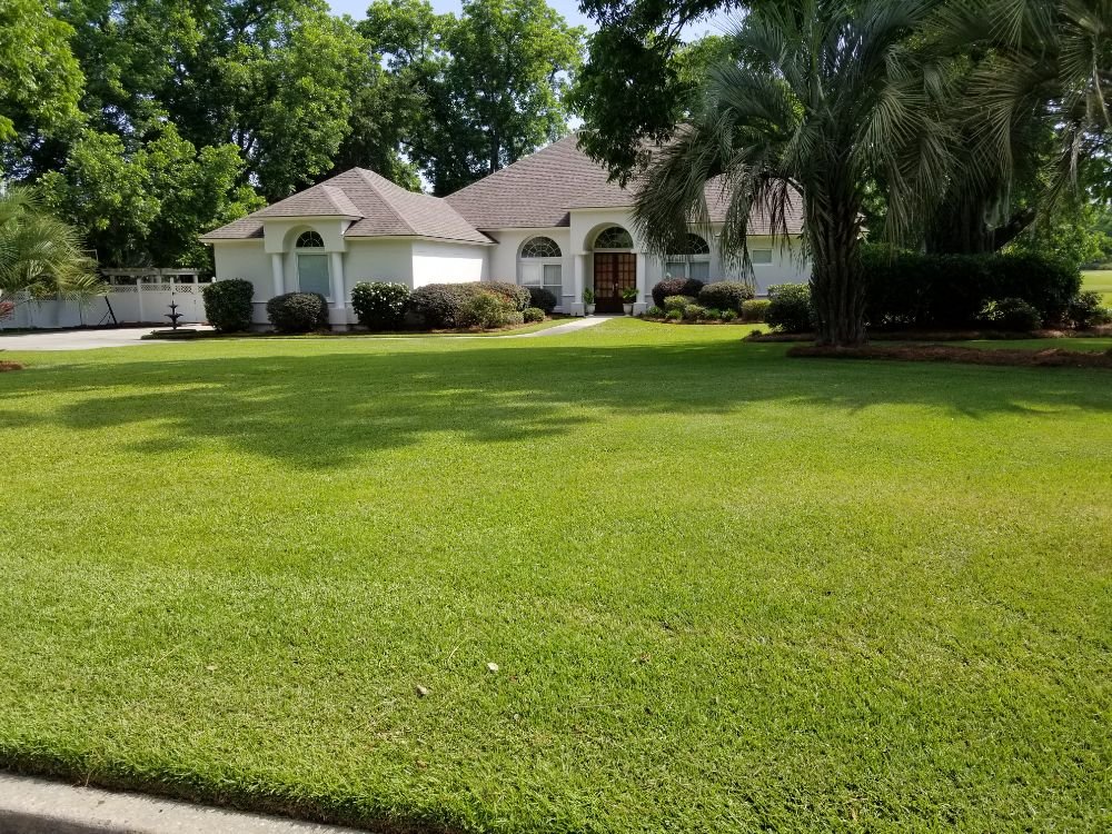 SUNNYLAND LAWN CARE Updated May 2024 Valdosta, Lawn