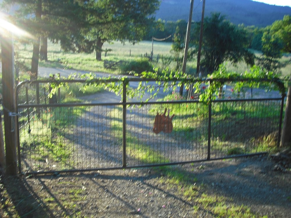 CHASE BANK CLOSED Updated July 2024 2500 Westfield Dr, Elgin