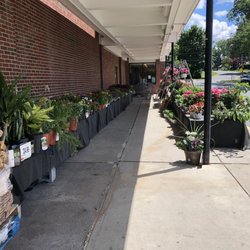 Stop & Shop - West Hartford S&S has some beautiful flowers and plants. They look great with a good selection.