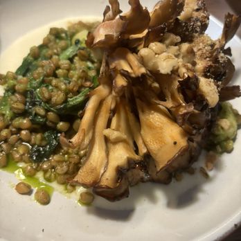The Union - Hen of the Woods mushroom - Butcher Near Me - Helena, Montana The Union - Hen of the Woods mushroom - Butcher Near Me - Helena, Montana
