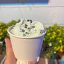 Photo of Sea Shell Ice Cream