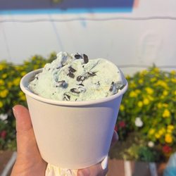 Sea Shell Ice Cream - Medium ice cream