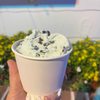 Sea Shell Ice Cream gift card