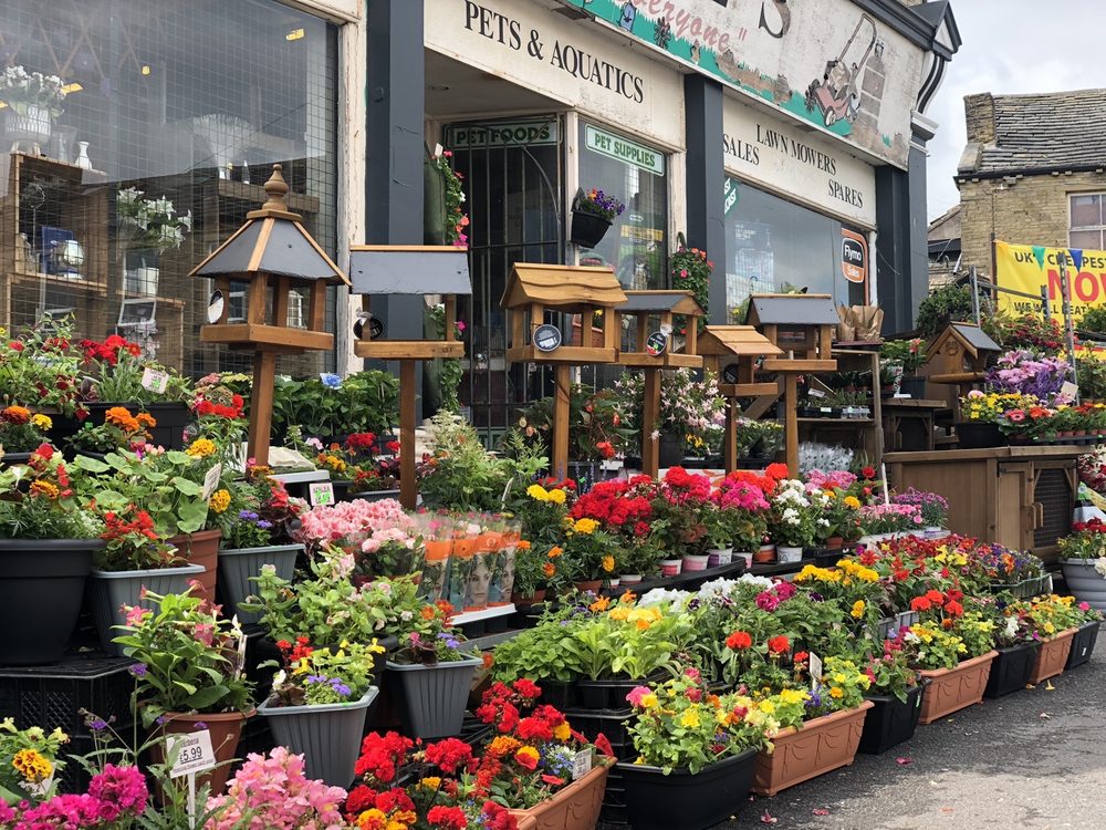 DARVILLS PETS & GARDENS Updated October 2024 10 Photos 2 Cemetery