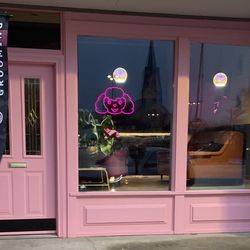 Punky Pets Grooming - 819 New York Avenue - can't miss us!