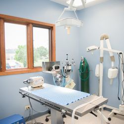 All Paws Veterinary Clinic