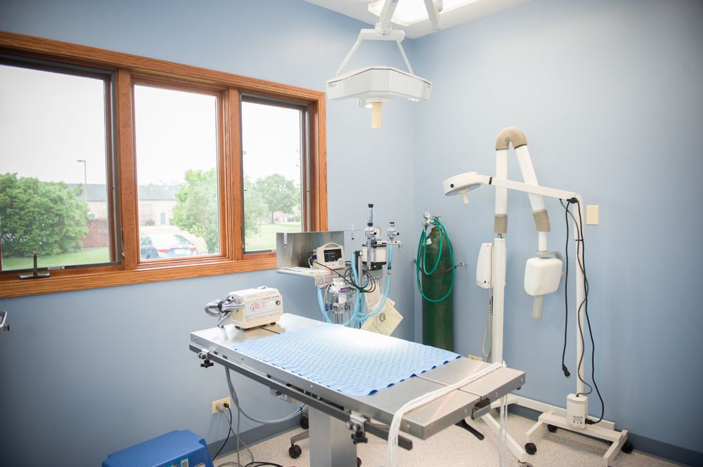 ALL PAWS VETERINARY CLINIC Updated October 2024 15 Photos 1324