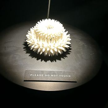 Wonderspaces  - Austin - Art Galleries Near Me - Austin, Texas