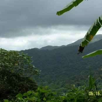El Yunque Rainforest - Views from the tower - Hiking Near Me - Luquillo, Puerto Rico