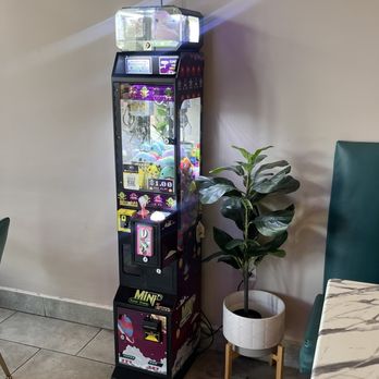 Ding Tea Orlando - Game - Bubble Tea Near Me - Orlando, Florida Ding Tea Orlando - Game - Bubble Tea Near Me - Orlando, Florida