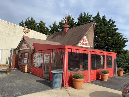 Red Rooster by null