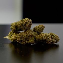 The Green Door - Industrial hemp
