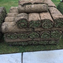 Carolina Turf Farms Inc