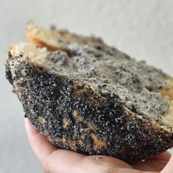 Flour Fresh Cream Donut - Black Sesame