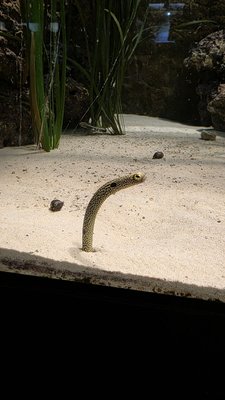 Belle Isle Aquarium by null