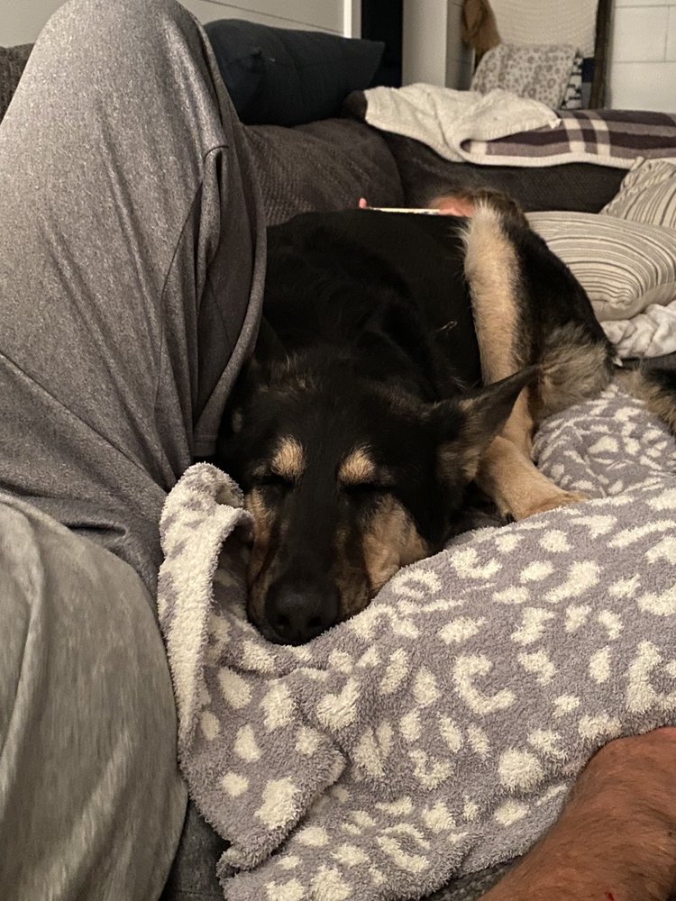 HORNS TO HALOS Updated September 2024 22 Photos 203 S Academy St