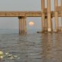 Photo of Condor Sailing Adventures