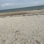St George Island Visitor Ctr