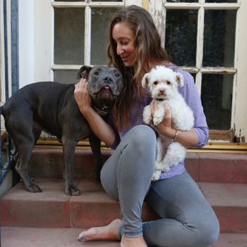 The Mannered Mutt - Pet Training Near Me The Mannered Mutt - Pet Training Near Me