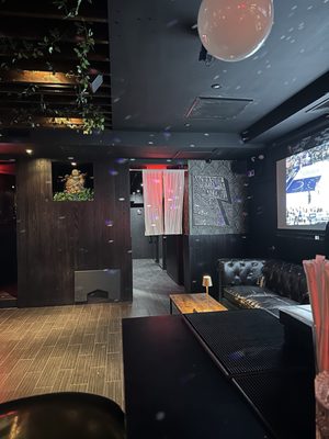 Hidden Tiger by null