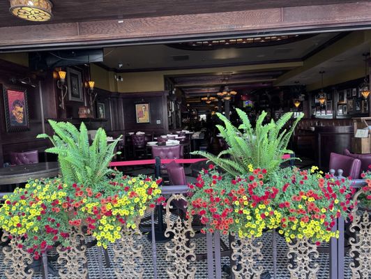 Wilde Irish Bar & Restaurant by null