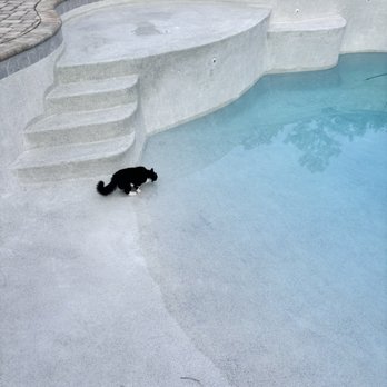 Blue Haven Pools & Spas - Pool & Hot Tub Service Near Me - Mobile, Alabama Blue Haven Pools & Spas - Pool & Hot Tub Service Near Me - Mobile, Alabama