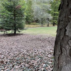 Hopelands Gardens - Gardens