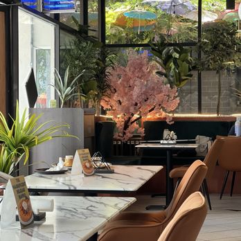 Shahmaran Cafe - Coffee & Tea Near Me - Sacramento, California