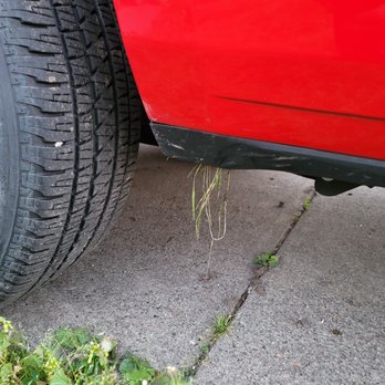 Auto Pride - Weeds still attached. - Car Wash Near Me - Santa Rosa, California Auto Pride - Weeds still attached. - Car Wash Near Me - Santa Rosa, California