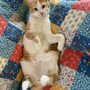 Photo of Mokelumne River Veterinary Services