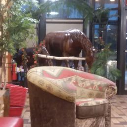 This is a wonderful truck stop. Super clean, comfortable and really friendly. Feels like a hotel lobby.
