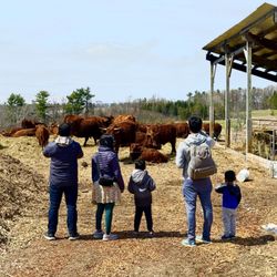 Bread & Butter Farm