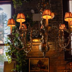 Maxwell Social