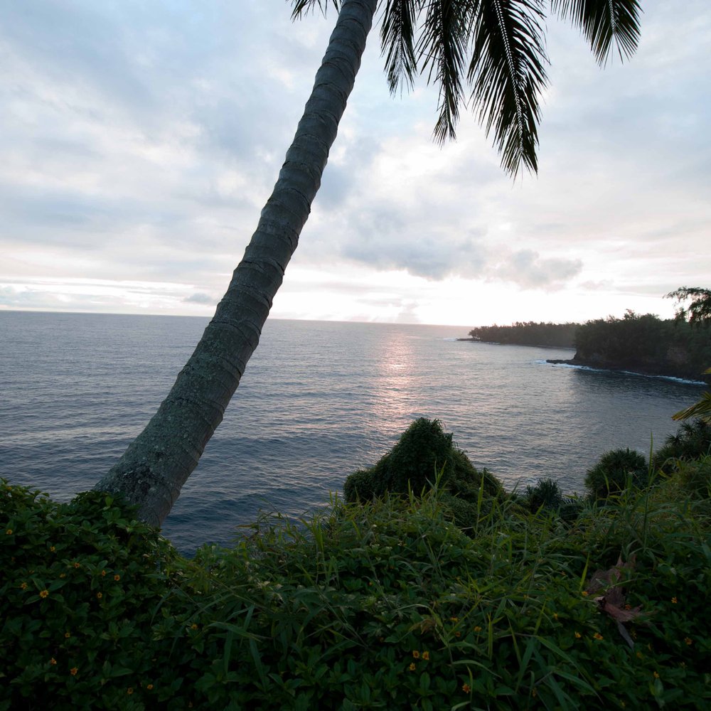 The Palms Cliff House Inn - Bed & Breakfast Near Me - Honomu, Hawaii The Palms Cliff House Inn - Bed & Breakfast Near Me - Honomu, Hawaii