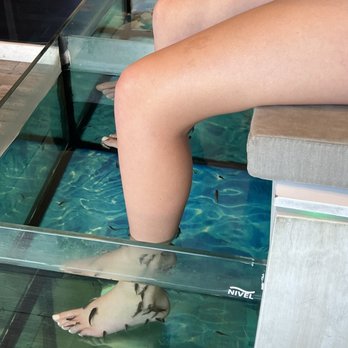 Fish Therapy - Clear water with fish therapy - Day Spas Near Me - San José del Cabo, BCS Fish Therapy - Clear water with fish therapy - Day Spas Near Me - San José del Cabo, BCS
