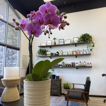 Salon Sova - Hair Salons Near Me - Murrieta, California Salon Sova - Hair Salons Near Me - Murrieta, California