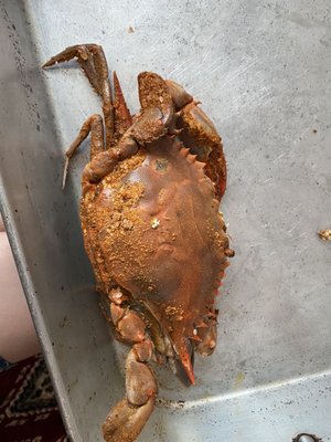 Ernie's Crab House by null