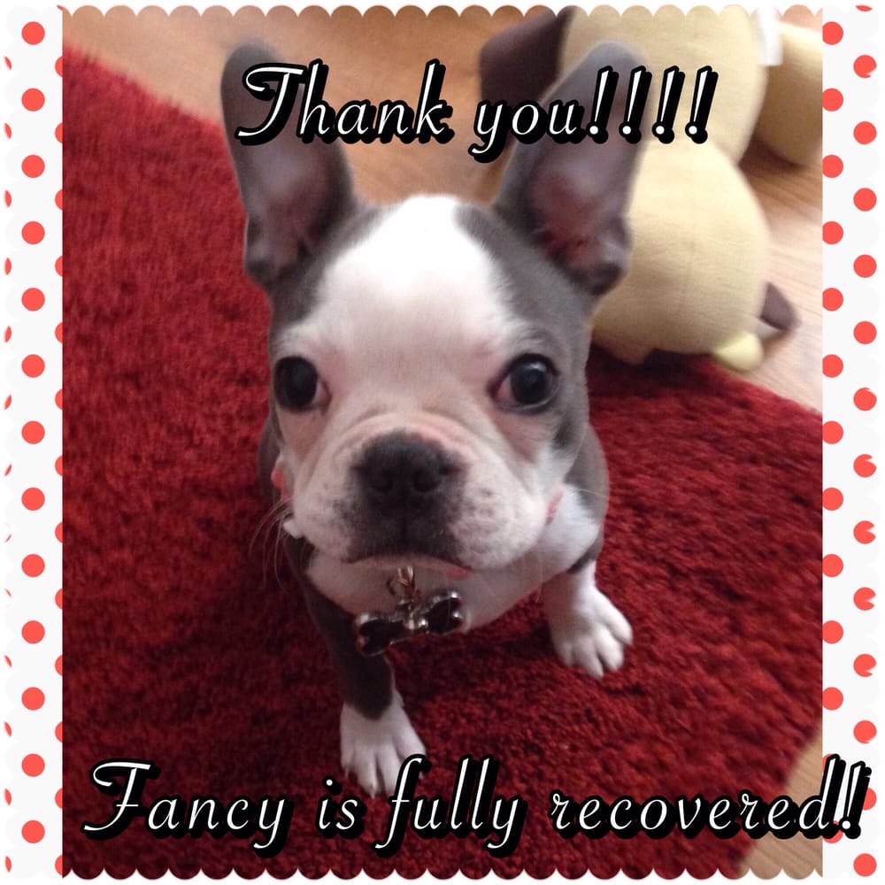 marqueen animal clinic