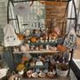 Photo of Botanica Gift Shop & Greenhouse