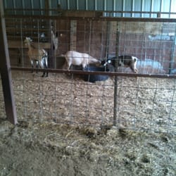 Owensville Auction Company