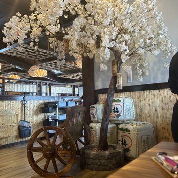 Sushi Masa - The tree is so cute and a perfect touch to the ambiance - Sushi Bars Near Me - Beaumont, Texas Sushi Masa - The tree is so cute and a perfect touch to the ambiance - Sushi Bars Near Me - Beaumont, Texas