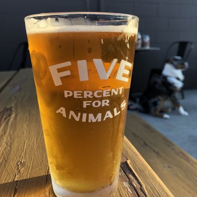 Metazoa Brewing Company by null