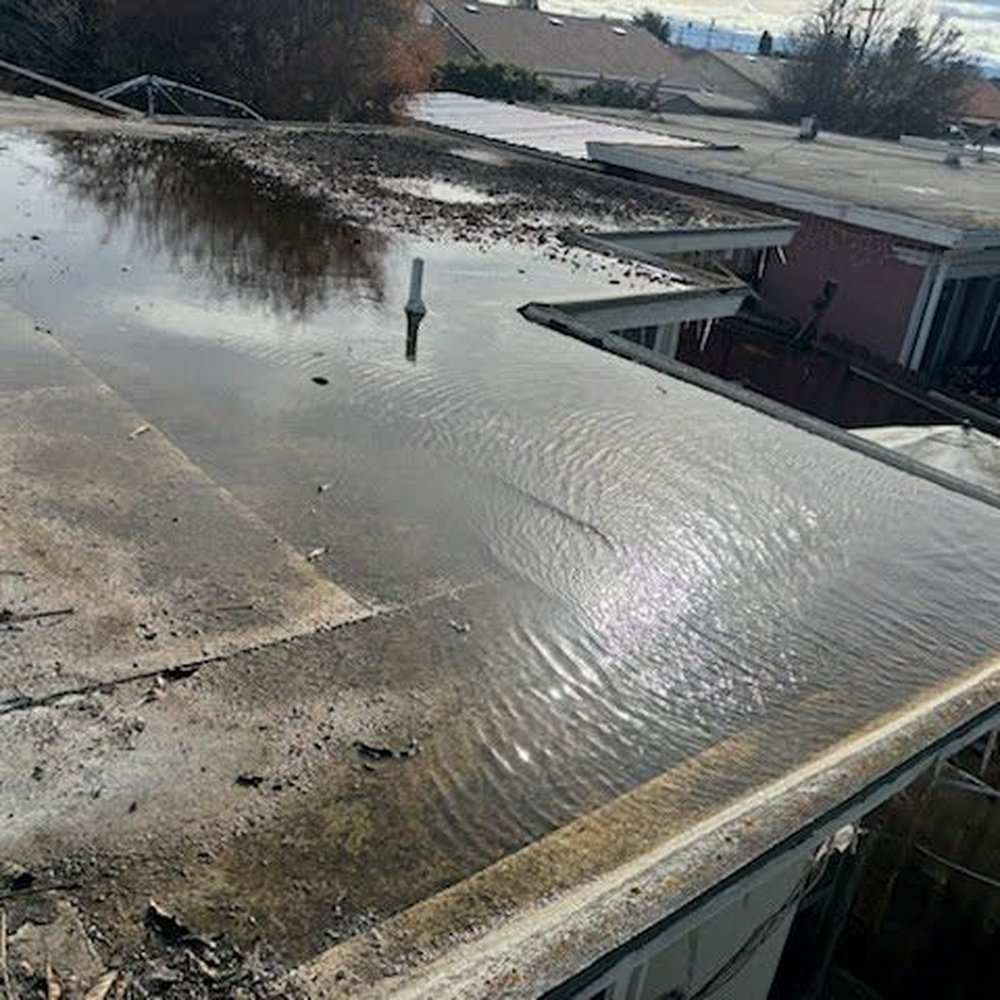 Tree overhang caused clogging and flooding. Photos requested. Forgot? MAYBE but even so LTS took the $ and didn't WARN of a roof disaster