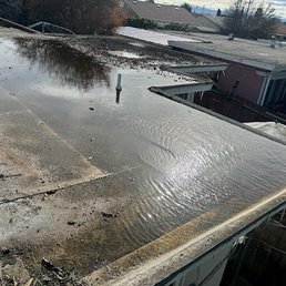 Tree overhang caused clogging and flooding. Photos requested. Forgot? MAYBE but even so LTS took the $ and didn't WARN of a roof disaster