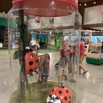 Butterfly Biosphere - Children's Museums Near Me - Lehi, Utah