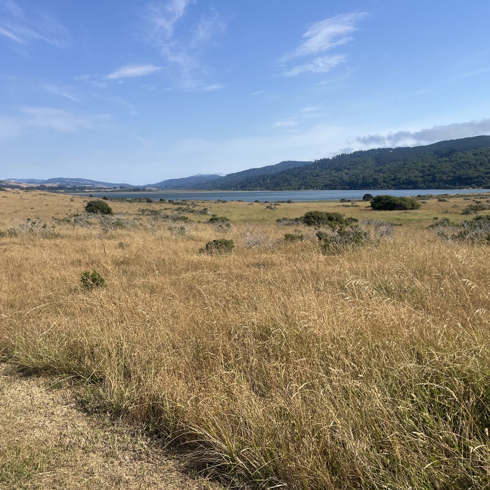 Millerton Point - Hiking Near Me - Millerton, California