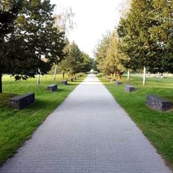 Gesundheitspark Speckbüttel - Alee der Heilenden Bäume