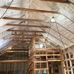 Spray Foam Professionals