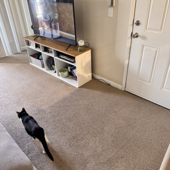 Steam Maxx - No before only after!!! - Carpet Cleaning Near Me - Henderson, Nevada